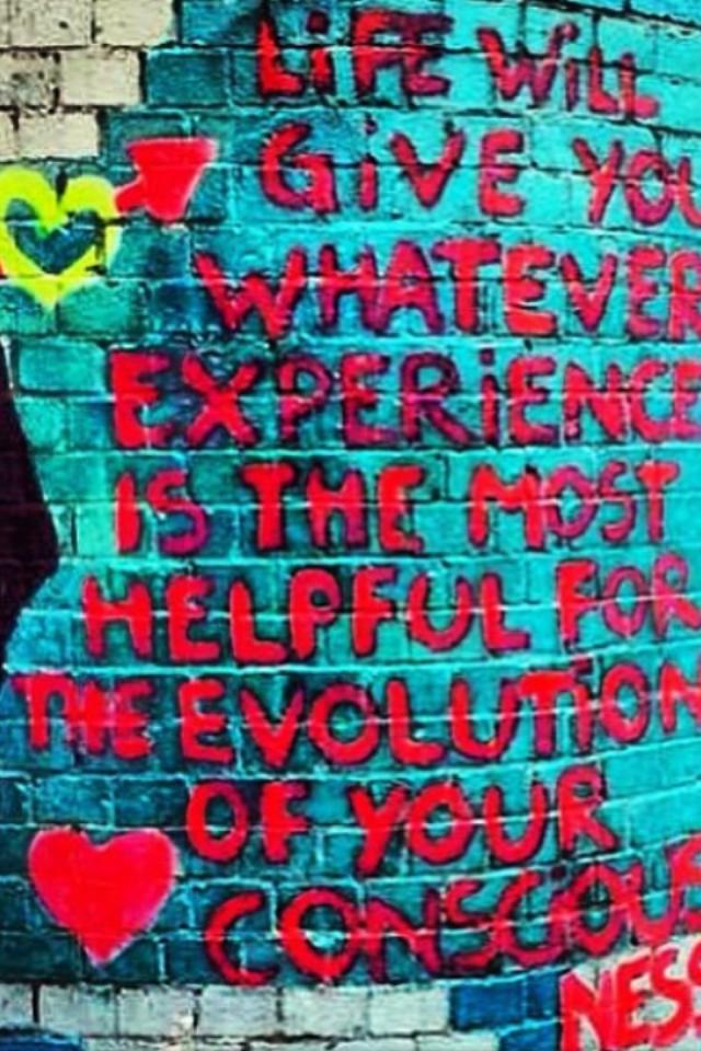 11954546_10205002260157817_3913566571633993621_n