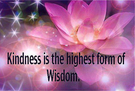Kindness is the Highest Form of Wisdom