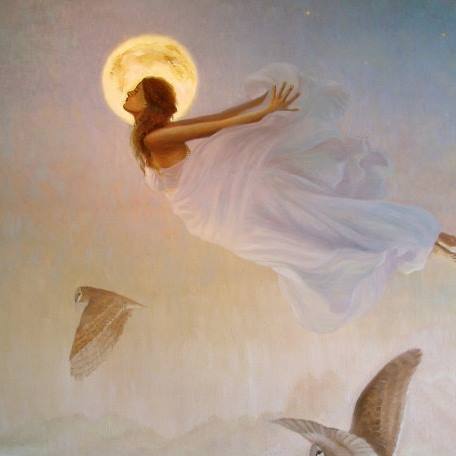 Flying with the Owls