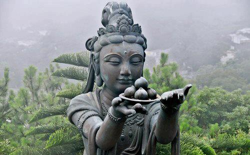 Featured Image -- 4080