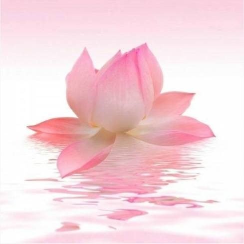 Featured Image -- 6124