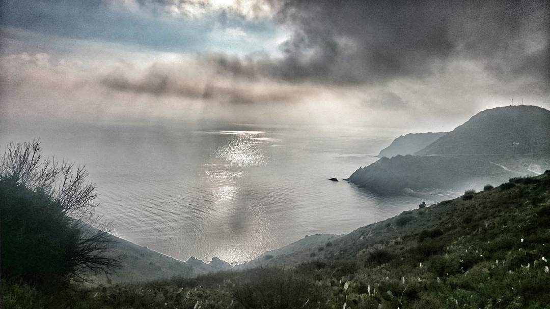 25009547_162521801145834_6759724503187587072_n