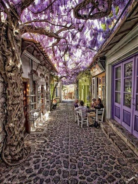 wisteria and cobblestone narrow walkway cafe