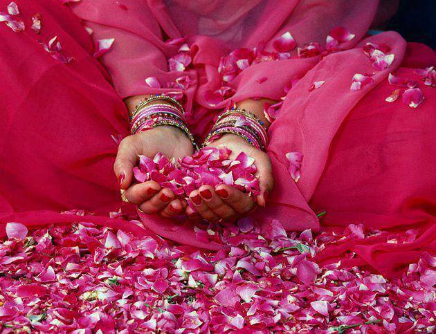 Drenched in Rose Petals